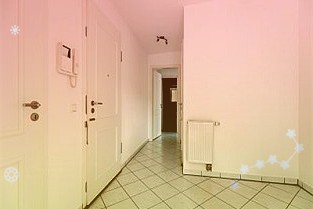 张立群:12月PMI表明经济全面恢复态势明确供应链堵点加快打通