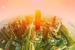 12月30日国内黄金期货跌0.73%持仓减少