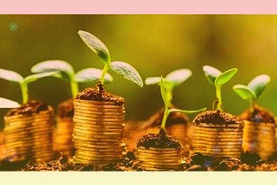 集团共经营817间奈雪的茶茶饮店减轻人力成本刚性