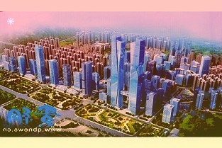 中金:维持青岛啤酒跑赢行业评级目标价80港元符合预期